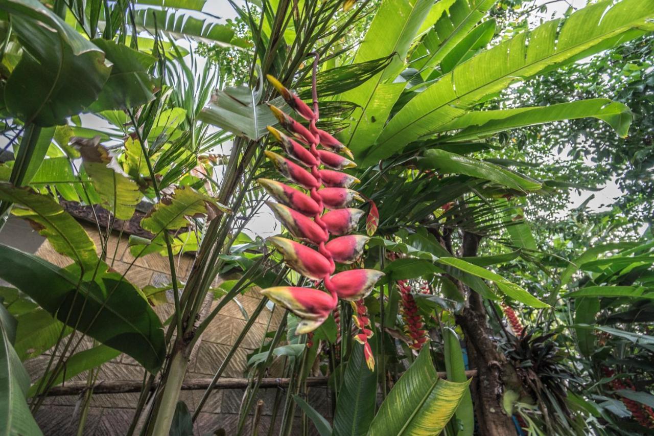 Tegar Guest House Ubud Exterior photo