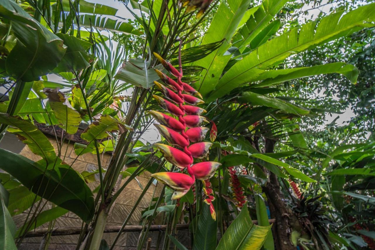 Tegar Guest House Ubud Exterior photo